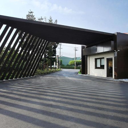 Holly Wood Motel Pitou Luaran gambar